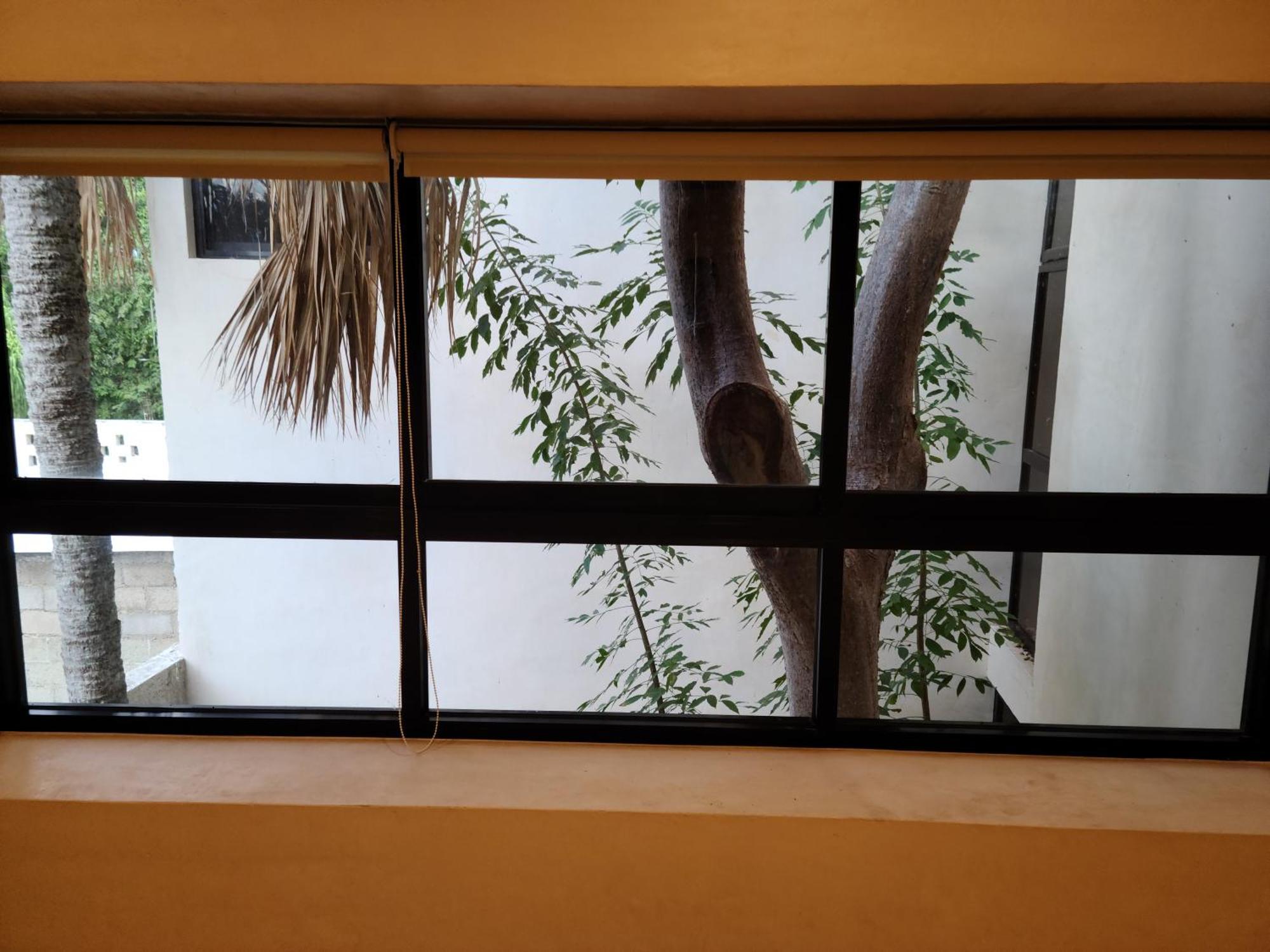 Casa Ramona 호텔 메리다 외부 사진